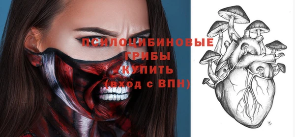 твердый Алексин