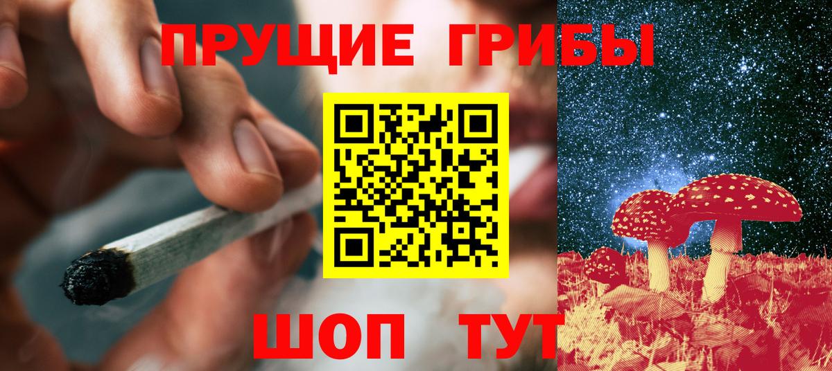 Галлюциногенные грибы Psilocybe  закладки  Бийск  Вход с VPN 