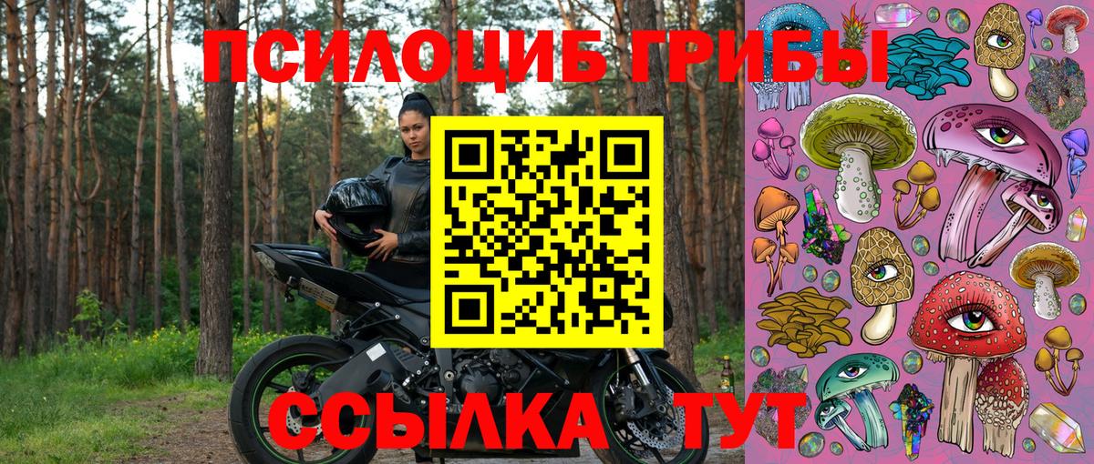 Псилоцибиновые грибы ЛСД Бийск